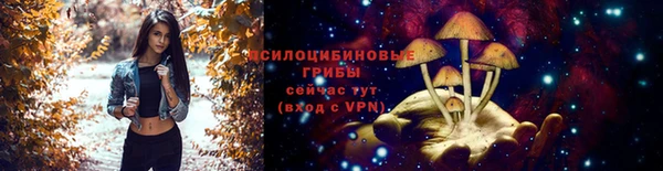 гашик Осинники