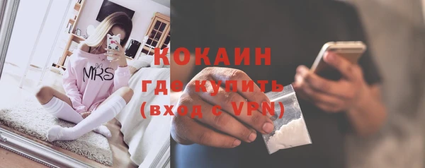 гашик Осинники