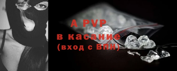 гашик Осинники