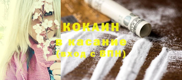 гашик Осинники