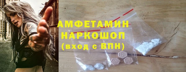 гашик Осинники