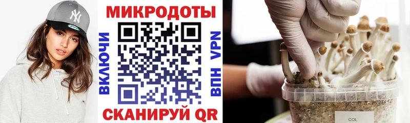 KRAKEN вход  Курчалой  Галлюциногенные грибы ЛСД  магазин продажи наркотиков 