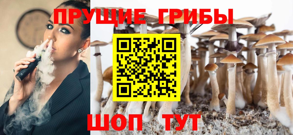 Псилоцибиновые грибы ЛСД Курчалой
